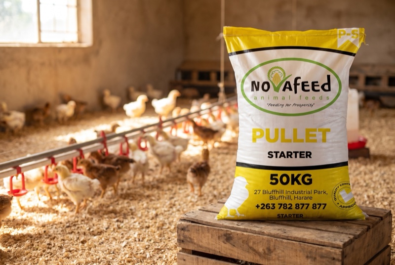 Novafeed pullet feeds: Starter, Grower and Developer